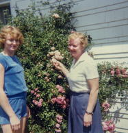 Ripley036 / © Ben Rahn/A-Frame 