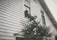 Ripley149 / © Ben Rahn/A-Frame 