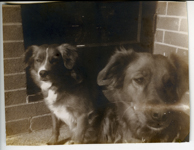 Ripley213 / © Ben Rahn/A-Frame 