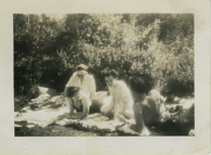 Ripley257 / © Ben Rahn/A-Frame 