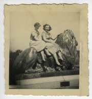 Ripley260 / © Ben Rahn/A-Frame 