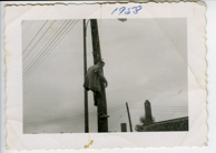 Ripley347 / © Ben Rahn/A-Frame 