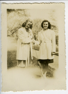 Ripley377 / © Ben Rahn/A-Frame 