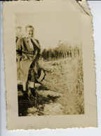 Ripley390 / © Ben Rahn/A-Frame 